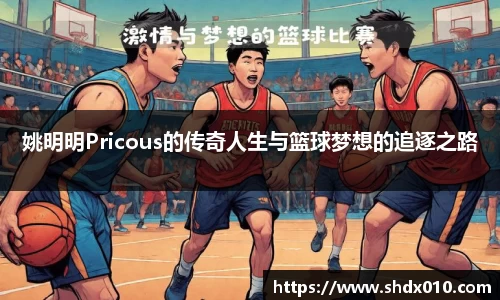 姚明明Pricous的传奇人生与篮球梦想的追逐之路