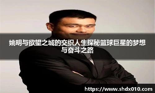 365WM完美体育官方app